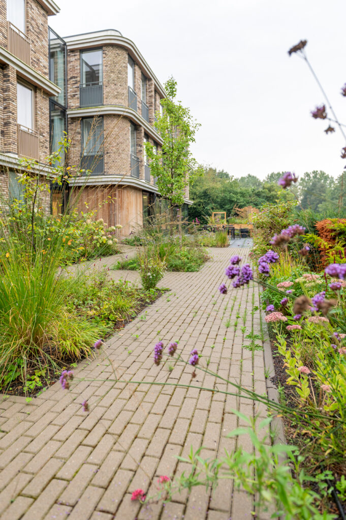 Tuin Hoge Haeghe met verbena's die waaien in de wind.